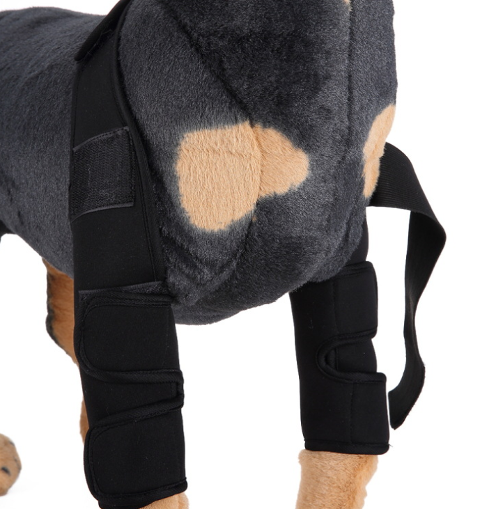 Dog Knee Brace & Leg Protector – Support Sleeve for Injury Recovery