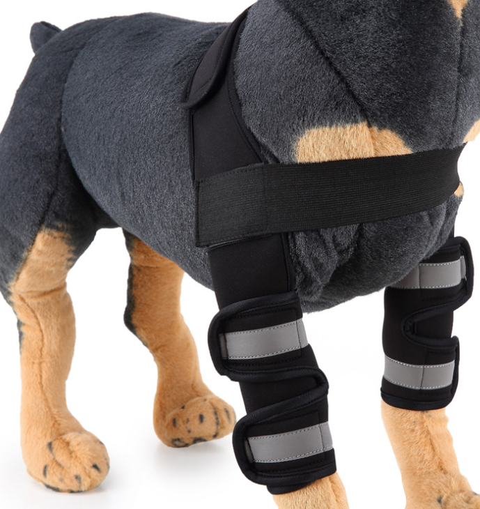 Dog Knee Brace & Leg Protector – Support Sleeve for Injury Recovery