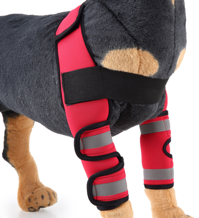 Dog Knee Brace & Leg Protector – Support Sleeve for Injury Recovery