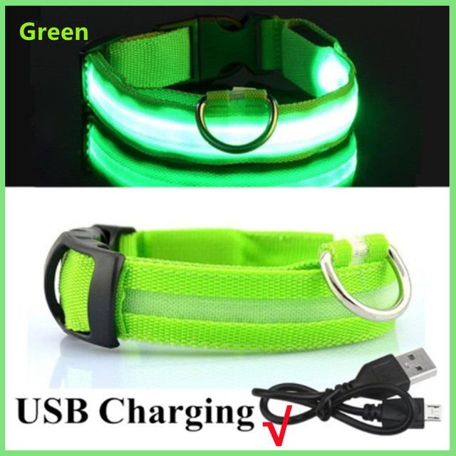 LED Glowing Dog Collar – Adjustable Night Safety Collar for Dogs