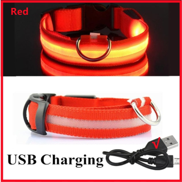 LED Glowing Dog Collar – Adjustable Night Safety Collar for Dogs