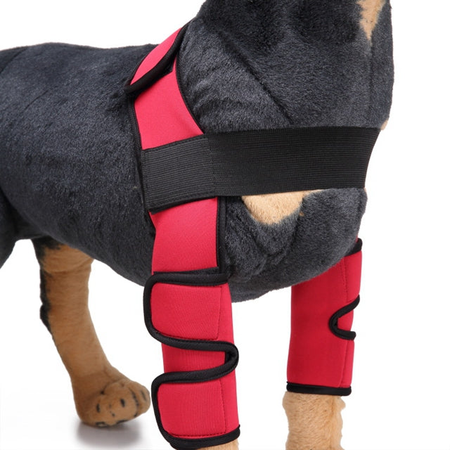 Dog Knee Brace & Leg Protector – Support Sleeve for Injury Recovery