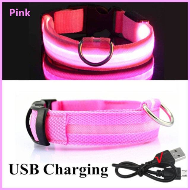 LED Glowing Dog Collar – Adjustable Night Safety Collar for Dogs