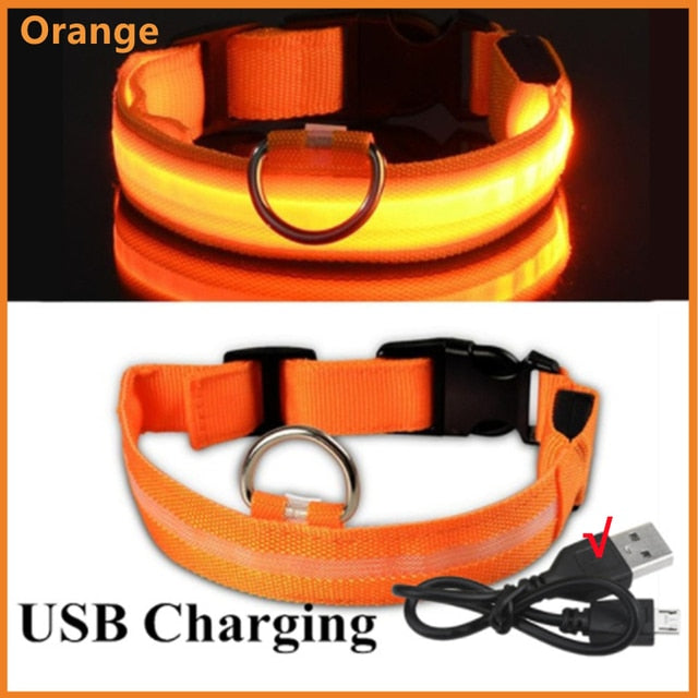 LED Glowing Dog Collar – Adjustable Night Safety Collar for Dogs