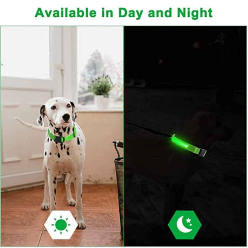 LED Glowing Dog Collar – Adjustable Night Safety Collar for Dogs