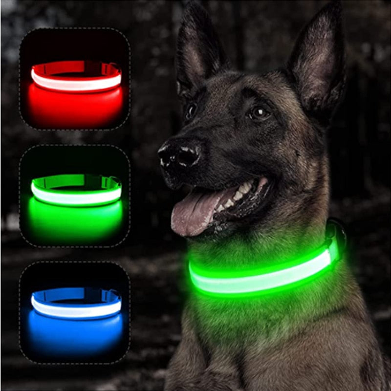 LED Glowing Dog Collar – Adjustable Night Safety Collar for Dogs