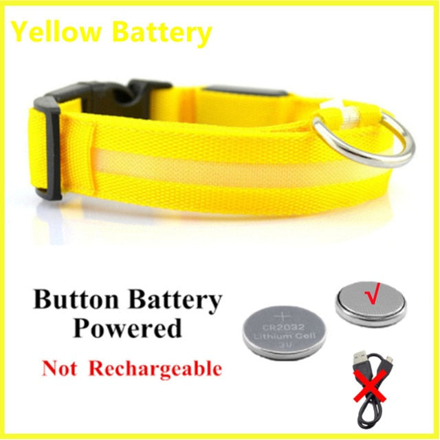 LED Glowing Dog Collar – Adjustable Night Safety Collar for Dogs