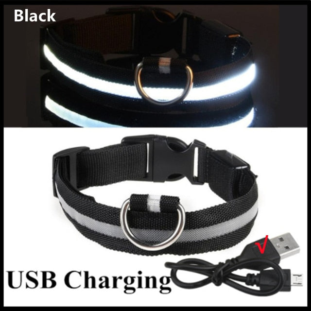 LED Glowing Dog Collar – Adjustable Night Safety Collar for Dogs