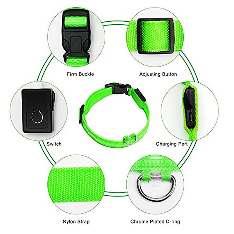LED Glowing Dog Collar – Adjustable Night Safety Collar for Dogs