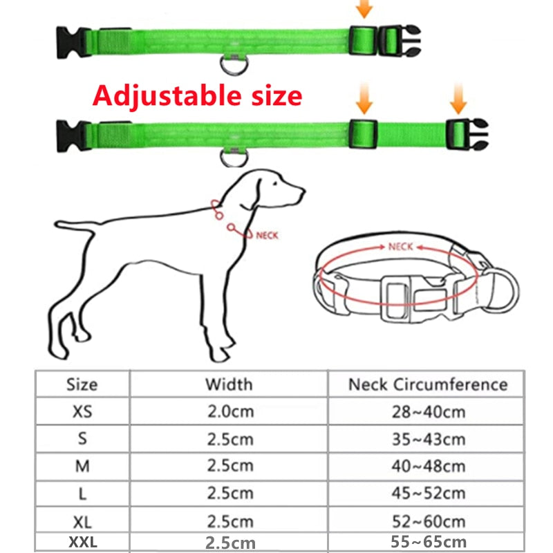 LED Glowing Dog Collar – Adjustable Night Safety Collar for Dogs