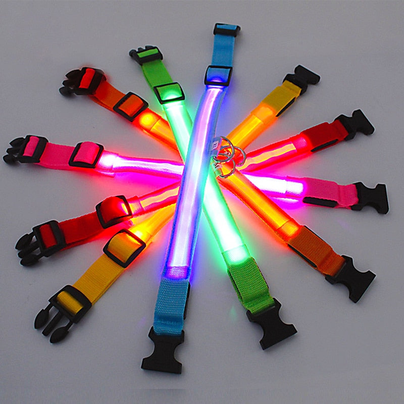 LED Glowing Dog Collar – Adjustable Night Safety Collar for Dogs