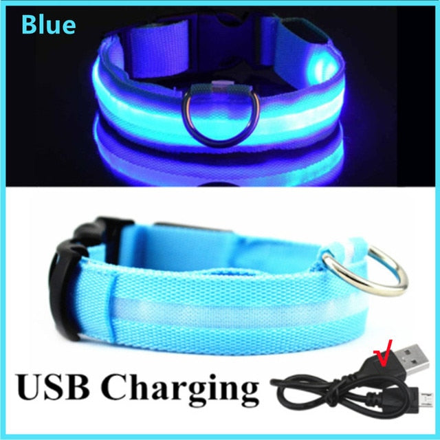 LED Glowing Dog Collar – Adjustable Night Safety Collar for Dogs