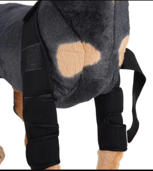 Dog Knee Brace & Leg Protector – Support Sleeve for Injury Recovery