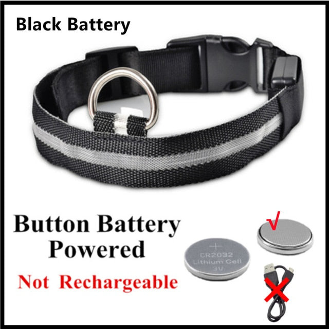 LED Glowing Dog Collar – Adjustable Night Safety Collar for Dogs