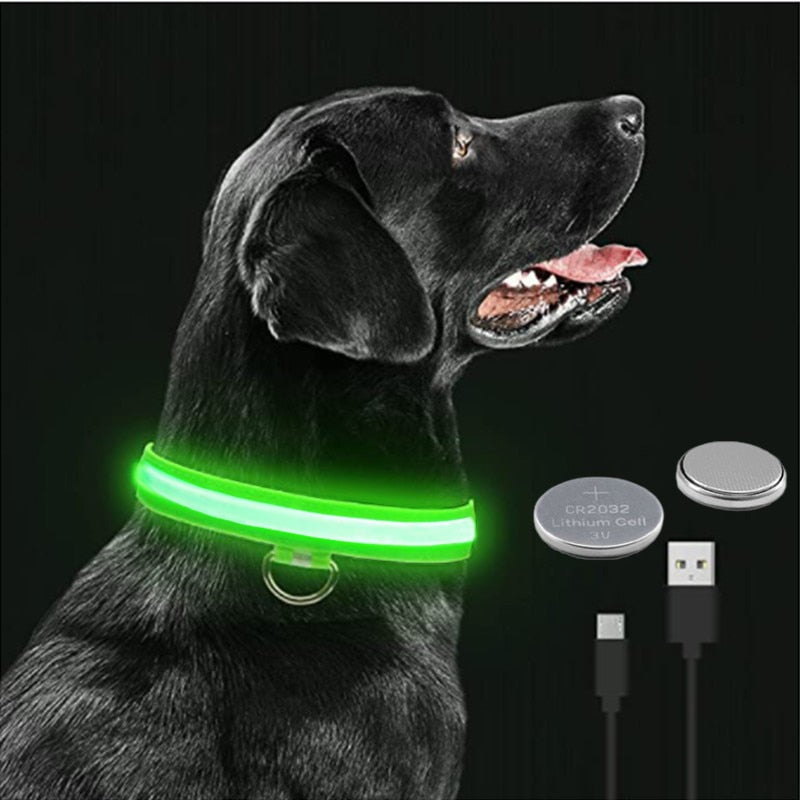 LED Glowing Dog Collar – Adjustable Night Safety Collar for Dogs