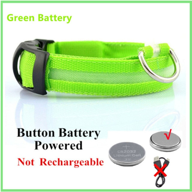 LED Glowing Dog Collar – Adjustable Night Safety Collar for Dogs