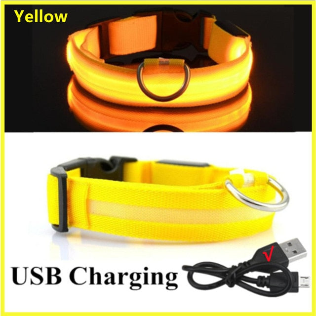 LED Glowing Dog Collar – Adjustable Night Safety Collar for Dogs