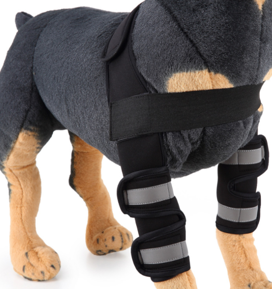 Dog Knee Brace & Leg Protector – Support Sleeve for Injury Recovery